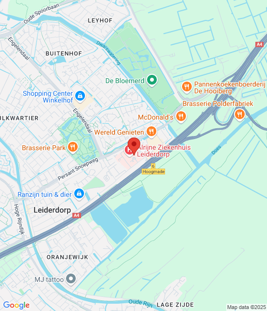Google maps image for Leiderdorp