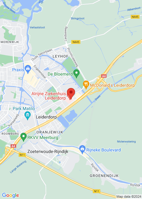Google maps image for Leiderdorp