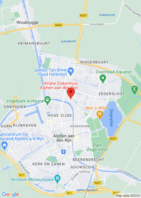 Google maps image for Alphen a/d Rijn