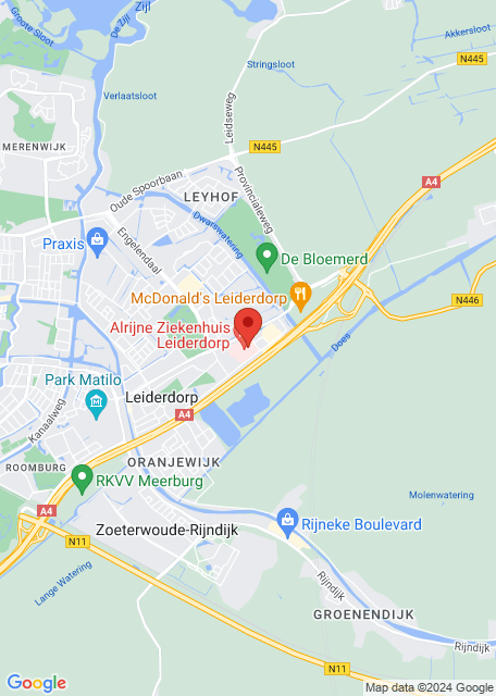 Google maps image for Leiderdorp