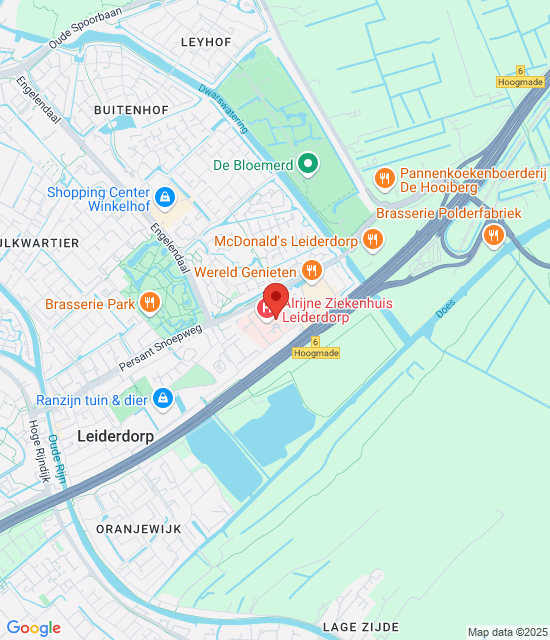 Google maps afbeelding voor Leiderdorp