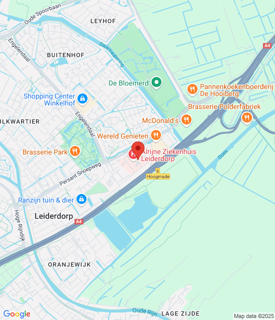 Google maps afbeelding voor Leiderdorp